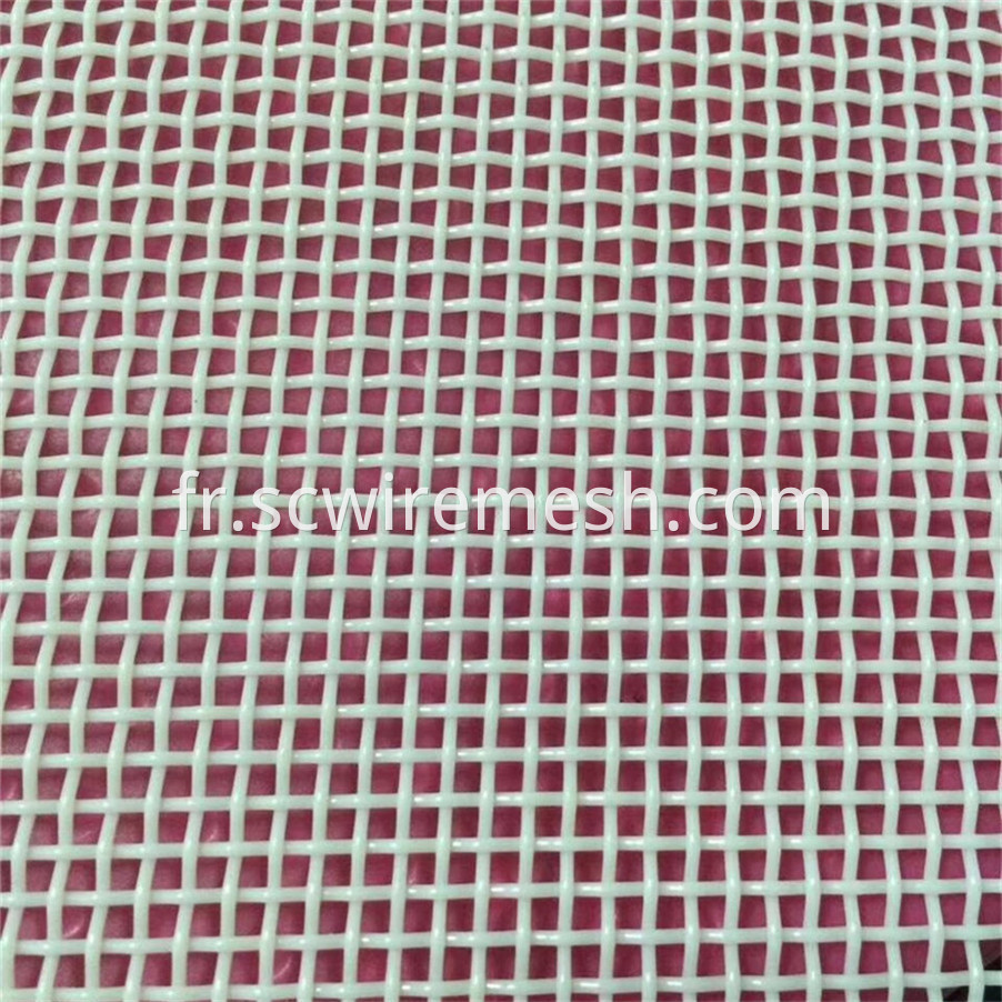 Plain Weave Polyester Mesh